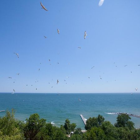 Bisser Hotel - Free Parking - Free Pool Access Balchik Bagian luar foto