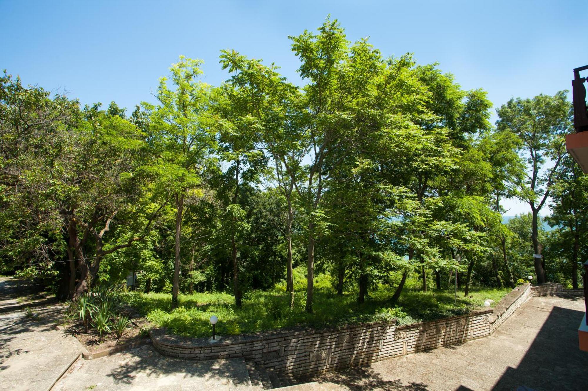 Bisser Hotel - Free Parking - Free Pool Access Balchik Ruang foto